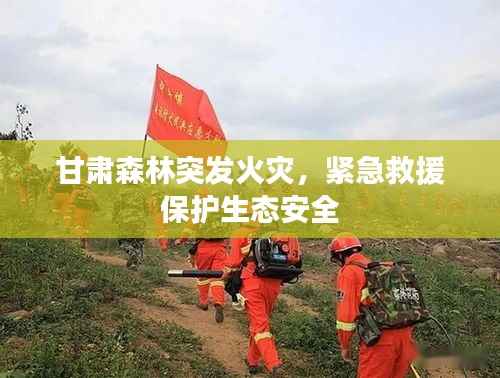 甘肅森林突發(fā)火災，緊急救援保護生態(tài)安全