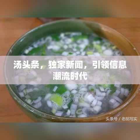 湯頭條，獨家新聞，引領信息潮流時代