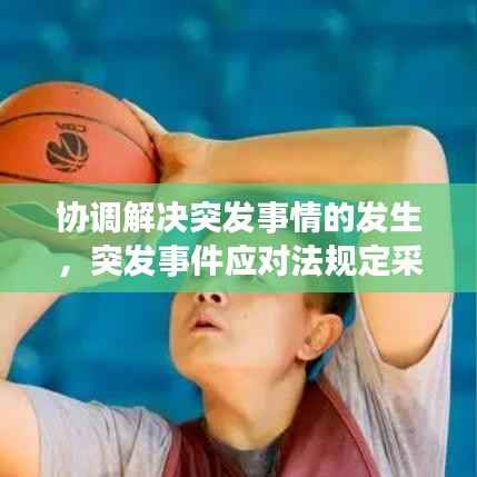 協調解決突發事情的發生，突發事件應對法規定采用調解 