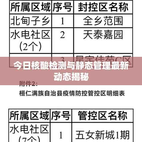 今日核酸檢測與靜態管理最新動態揭秘