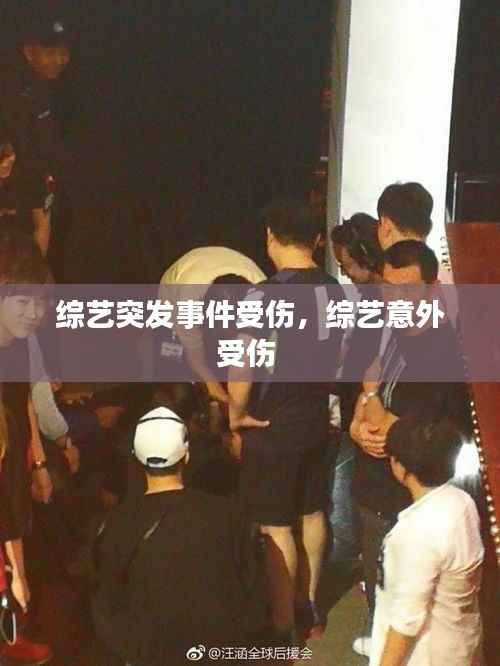 綜藝突發事件受傷，綜藝意外受傷 