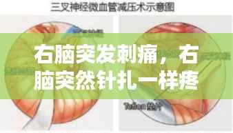 右腦突發(fā)刺痛，右腦突然針扎一樣疼 