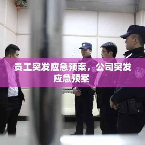 員工突發應急預案，公司突發應急預案 