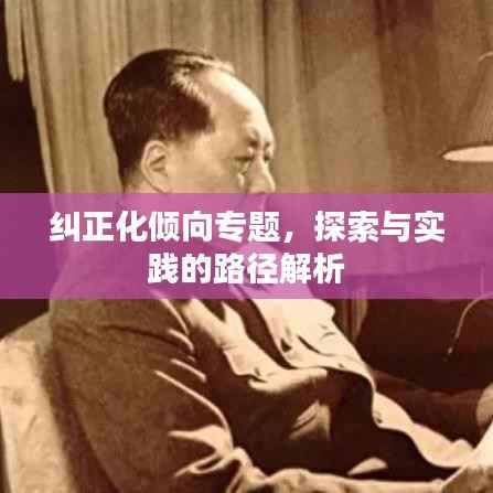 糾正化傾向專題，探索與實踐的路徑解析