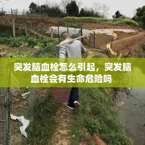 突發腦血栓怎么引起，突發腦血栓會有生命危險嗎 