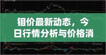鉬價最新動態，今日行情分析與價格消息一網打盡