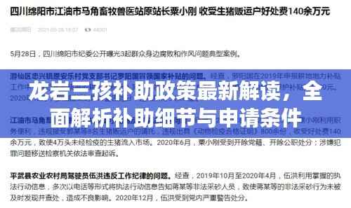 龍巖三孩補助政策最新解讀，全面解析補助細節與申請條件