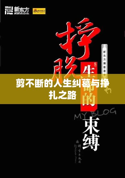 就正有道 第4頁