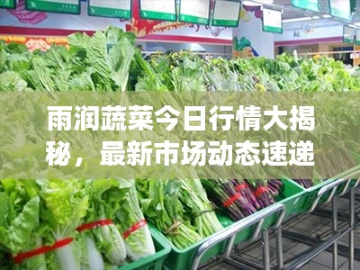 雨潤蔬菜今日行情大揭秘，最新市場動態速遞