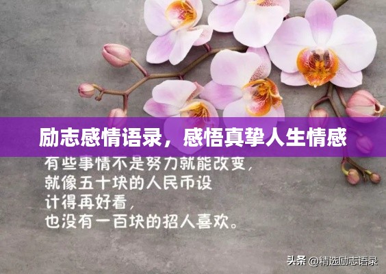 勵(lì)志感情語(yǔ)錄，感悟真摯人生情感