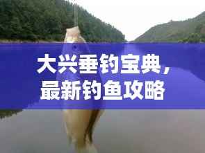 大興垂釣寶典，最新釣魚攻略全攻略