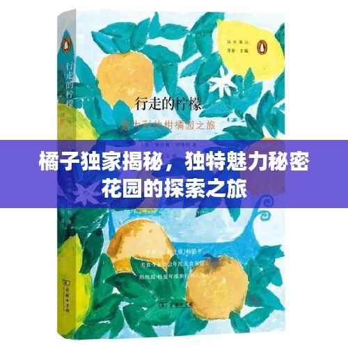 橘子獨家揭秘，獨特魅力秘密花園的探索之旅