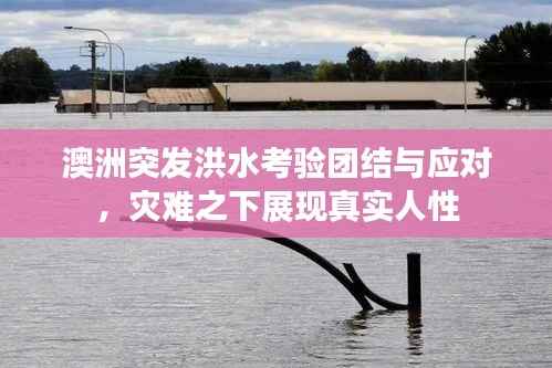 澳洲突發洪水考驗團結與應對，災難之下展現真實人性