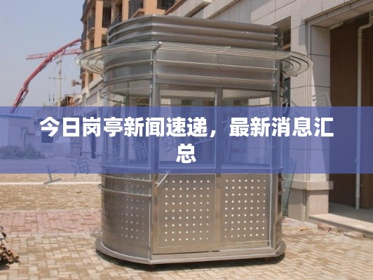 今日崗亭新聞速遞，最新消息匯總