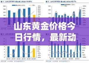 山東黃金價格今日行情，最新動態、深度分析與查詢