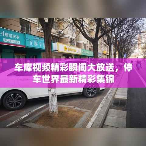 車庫視頻精彩瞬間大放送，停車世界最新精彩集錦