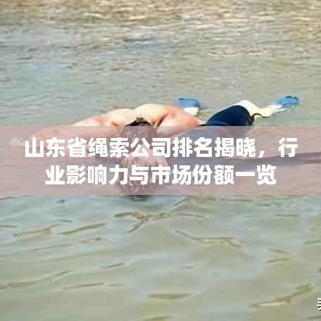 山東省繩索公司排名揭曉，行業(yè)影響力與市場份額一覽