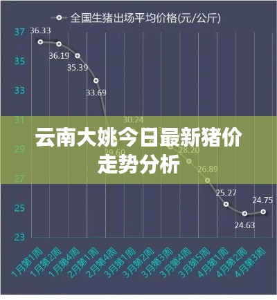 云南大姚今日最新豬價走勢分析