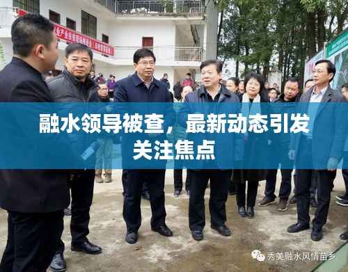 融水領導被查，最新動態引發關注焦點