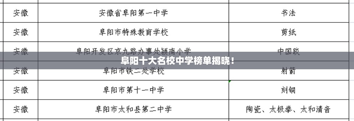 阜陽(yáng)十大名校中學(xué)榜單揭曉！