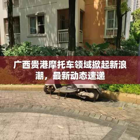 廣西貴港摩托車領域掀起新浪潮，最新動態速遞