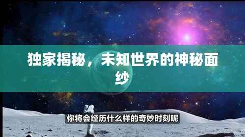 獨家揭秘，未知世界的神秘面紗