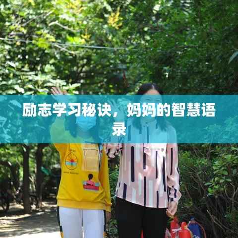 勵志學習秘訣，媽媽的智慧語錄