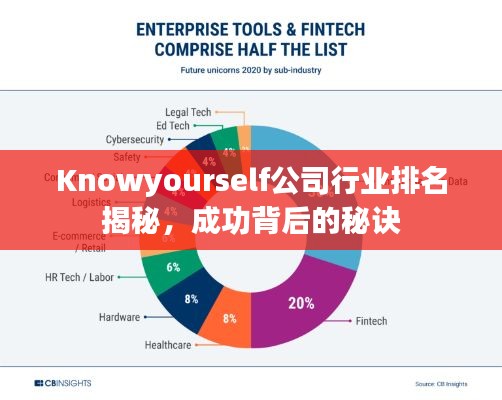 Knowyourself公司行業排名揭秘，成功背后的秘訣