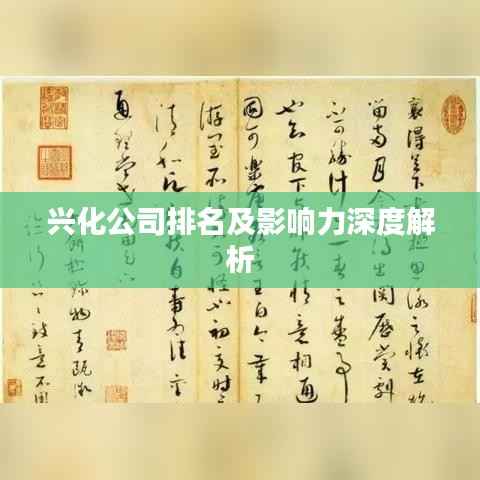 興化公司排名及影響力深度解析