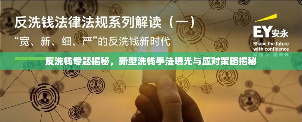 反洗錢專題揭秘，新型洗錢手法曝光與應(yīng)對策略揭秘