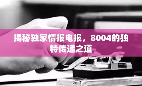 沉魚落雁 第4頁