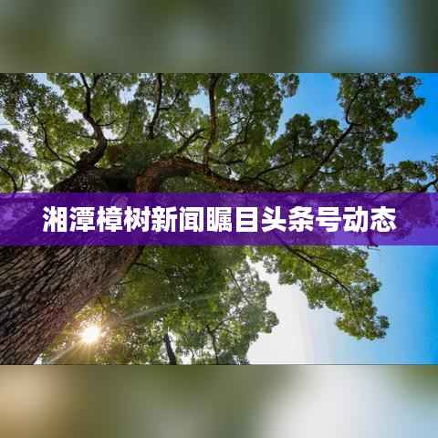 草草收兵 第4頁