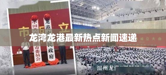 龍灣龍港最新熱點新聞速遞