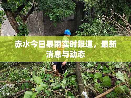 赤水今日暴雨實時報道，最新消息與動態