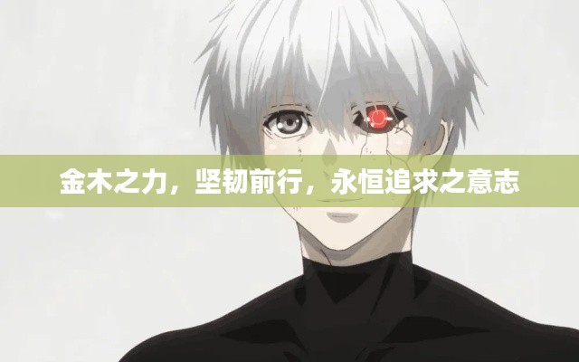 金木之力，堅(jiān)韌前行，永恒追求之意志