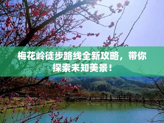 梅花嶺徒步路線全新攻略，帶你探索未知美景！