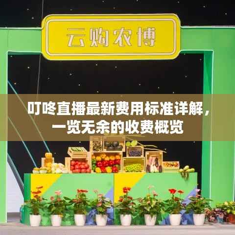叮咚直播最新費(fèi)用標(biāo)準(zhǔn)詳解，一覽無余的收費(fèi)概覽