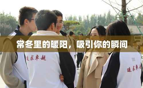 常冬里的暖陽，吸引你的瞬間