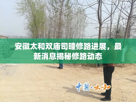 安徽太和雙廟司疃修路進展，最新消息揭秘修路動態