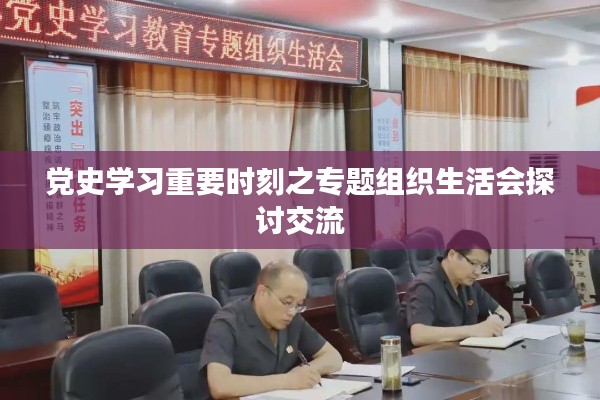 黨史學(xué)習(xí)重要時(shí)刻之專(zhuān)題組織生活會(huì)探討交流