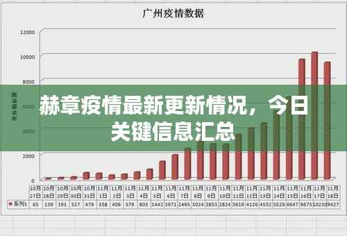赫章疫情最新更新情況，今日關鍵信息匯總