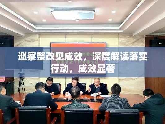 巡察整改見成效，深度解讀落實行動，成效顯著