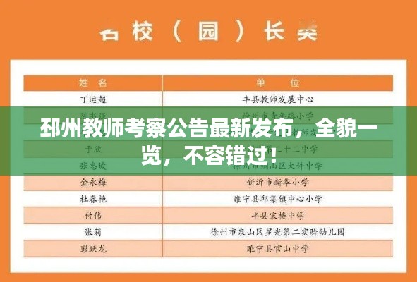 邳州教師考察公告最新發布，全貌一覽，不容錯過！