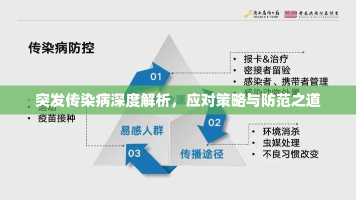 突發(fā)傳染病深度解析，應(yīng)對策略與防范之道