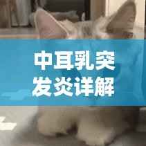 無獨有偶 第5頁