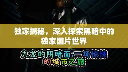 獨家揭秘，深入探索黑暗中的獨家圖片世界