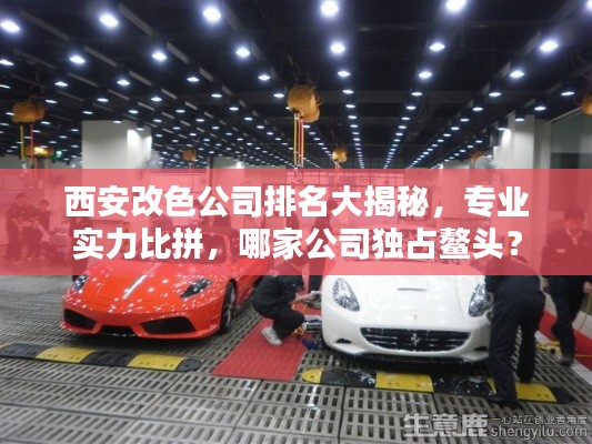 西安改色公司排名大揭秘，專業實力比拼，哪家公司獨占鰲頭？