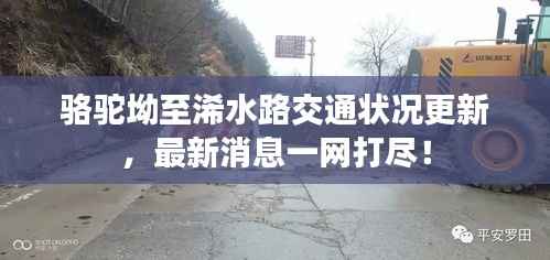 駱駝坳至浠水路交通狀況更新，最新消息一網打盡！