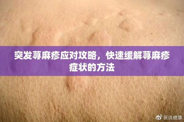 博古通今 第4頁(yè)