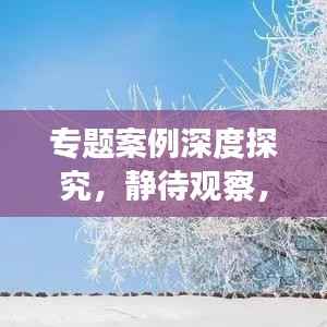 專題案例深度探究，靜待觀察，揭秘未知